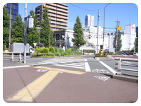 居木橋を渡った右側の横断歩道